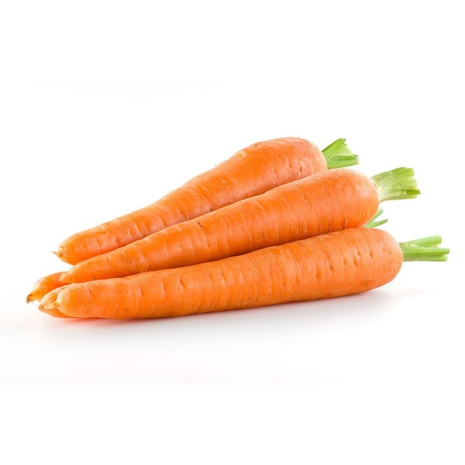 [PR/01616] Carrot
