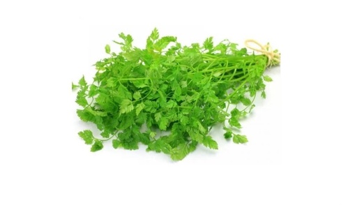 [PR/02883] Balloon Vine Leaves - Walpenala