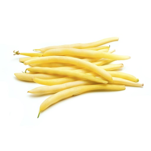 [PR/01558] Butter Beans