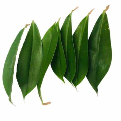 [PR/02881] Canereed Leaves - Thebu Leaves