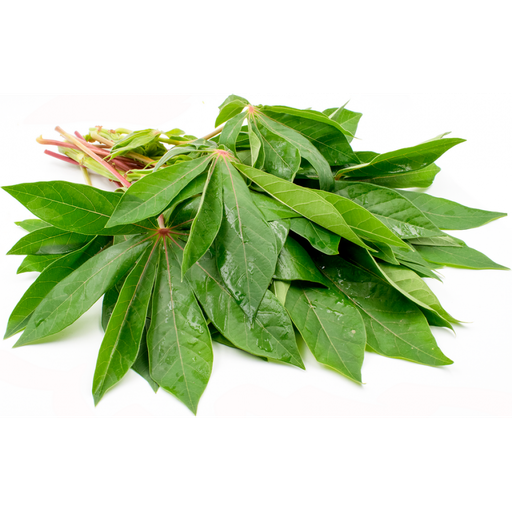 [PR/02880] Cassava Leaves - Maniyoka Leaves