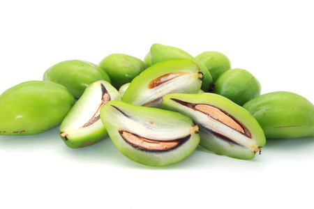 [PR/01598] Garcinia - Goraka