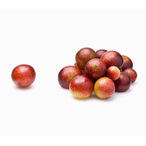 [PR/02882] Governor's Plum - Uguressa