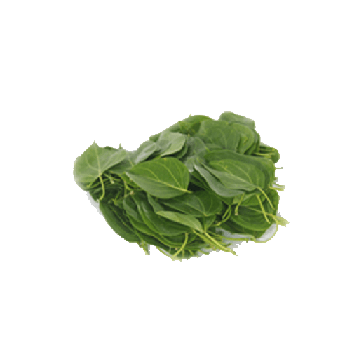 [PR/02860] Green Milkweed Climber - Angunakola