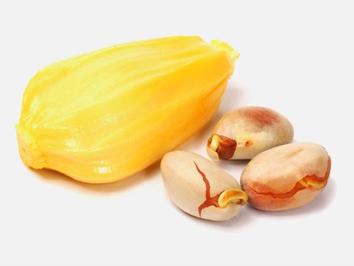 [PR/01566] Jackfruit Seeds