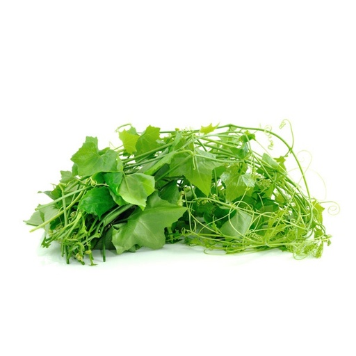 [PR/01570] Marsh Barbel - Neeramulliya Leaves