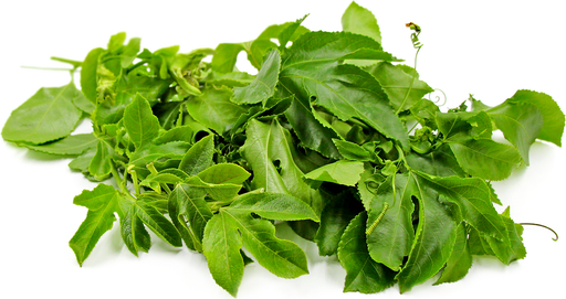 [PR/02876] Passion Fruit Leaves