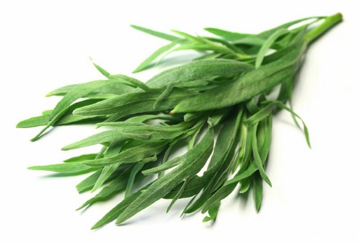 [PR/02897] Tarragon Leaves